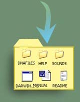 extract these files